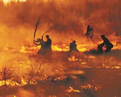 铁道兵第三师与加格达奇(中) 作者:杨景林